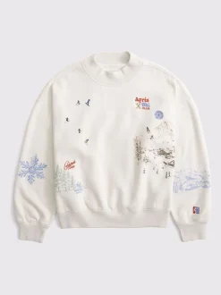Hoody's En Sweatshirts|Abercrombie & Fitch Ski Resort Sunday Mockneck Crew Neck Sweatshirt