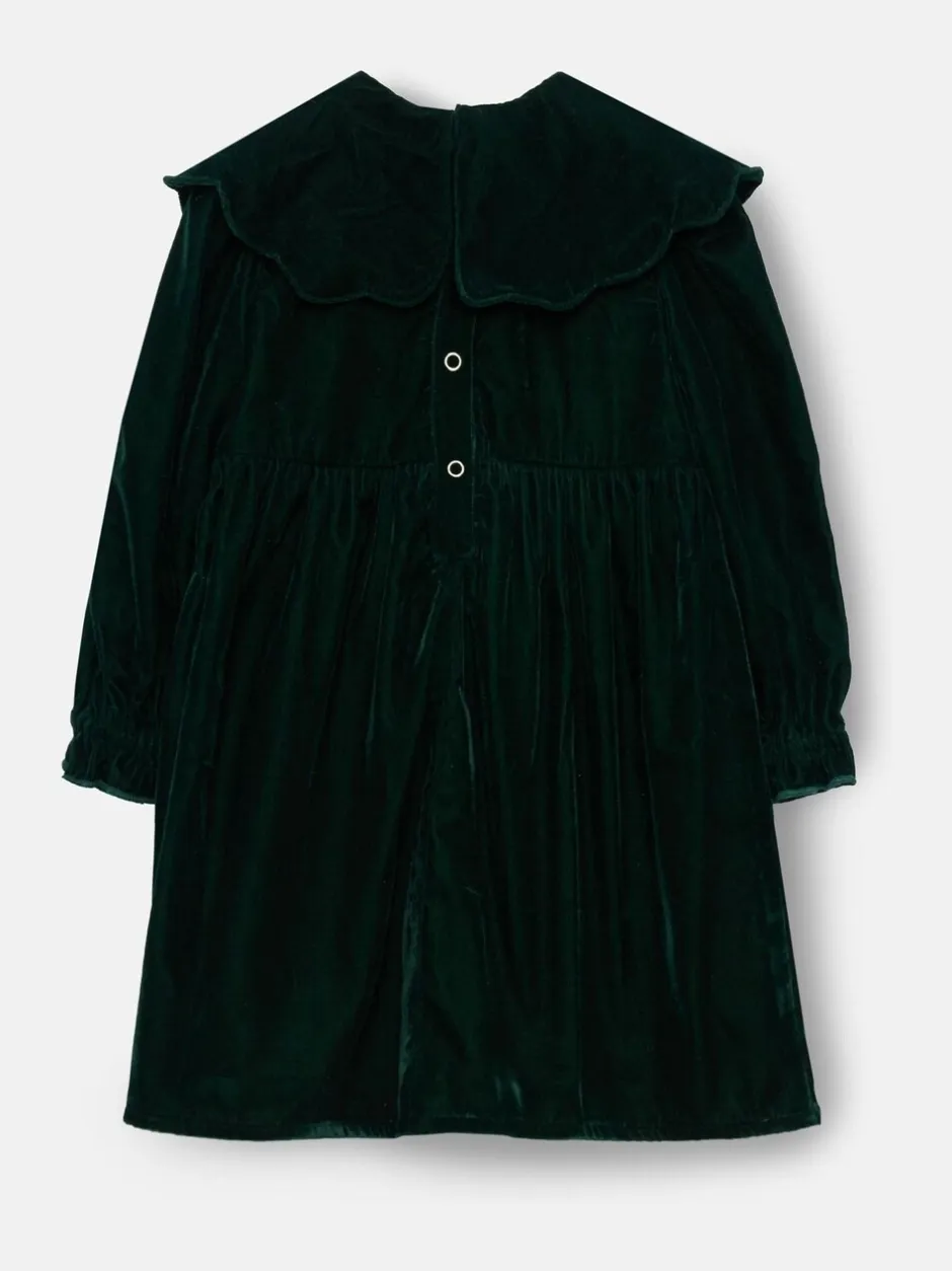 Gelegenheidskleding|Angel & Rocket Dotty Scalloped Embroidered Collar Velvet Dress