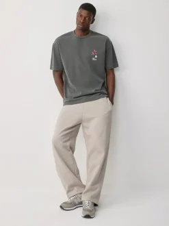 T-Shirts En Hemden|Next - Relaxed fit - T-shirt met kunstenaars/artiestlicentie Antracietgrijs Hiroshige