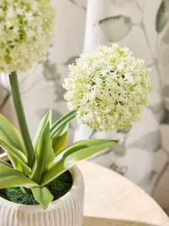 Kunstbloemen*Next Artificial Allium Plant In Ribbed Ceramic Pot