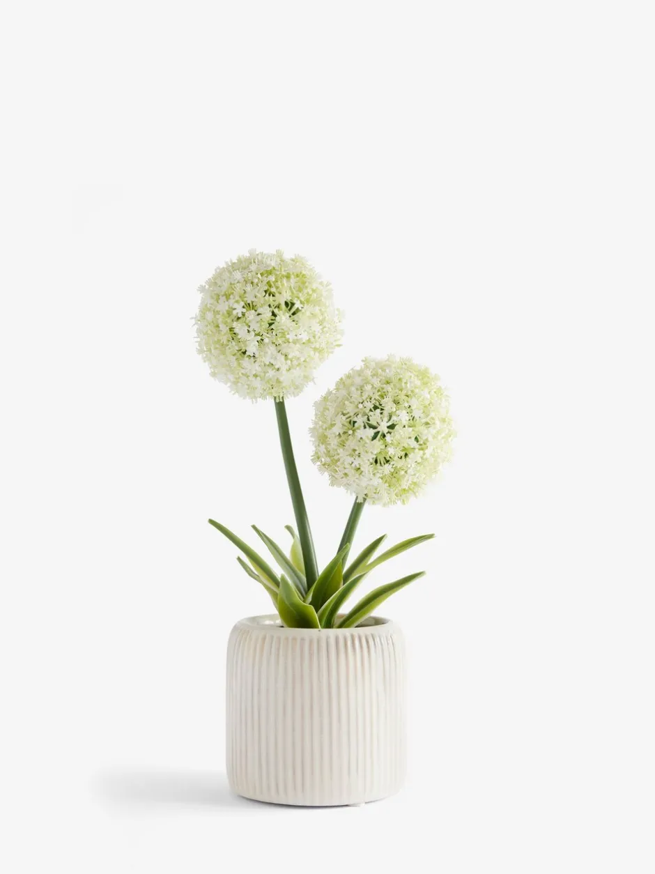 Kunstbloemen*Next Artificial Allium Plant In Ribbed Ceramic Pot