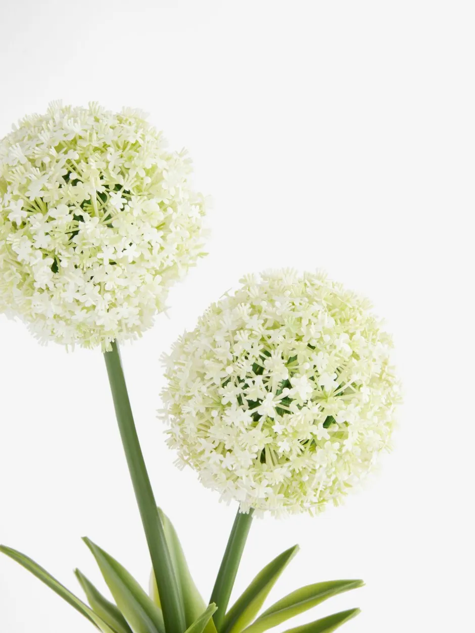 Kunstbloemen*Next Artificial Allium Plant In Ribbed Ceramic Pot