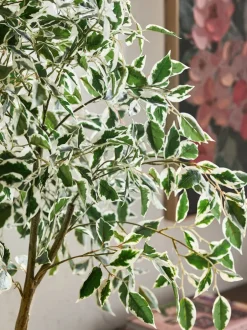 Kunstbloemen|Next Artificial Benjamina Tree With Variagated Leaves
