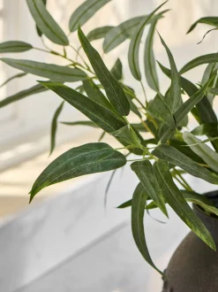 Kunstbloemen*Next Artificial Eucylptus (3 Stems) Groen