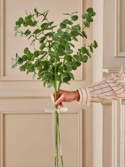 Kunstbloemen|Next Artificial Eucylptus (3 Stems) Green Round Leaf