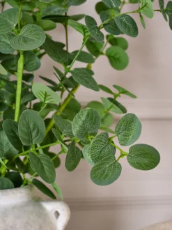 Kunstbloemen|Next Artificial Eucylptus (3 Stems) Green Round Leaf