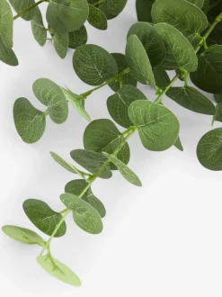 Kunstbloemen|Next Artificial Eucylptus (3 Stems) Green Round Leaf