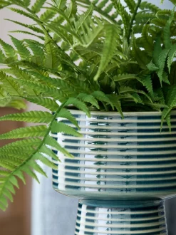 Kunstbloemen*Next Artificial Fern in Ribbed Glaze Pot