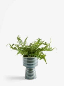 Kunstbloemen*Next Artificial Fern in Ribbed Glaze Pot