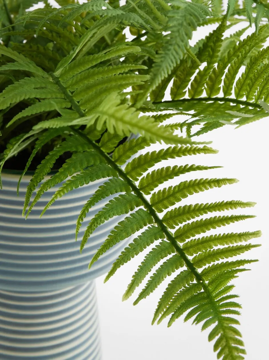 Kunstbloemen*Next Artificial Fern in Ribbed Glaze Pot