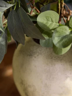 Kunstbloemen|Next Artificial Foliage Arrangement in Lydford Vase