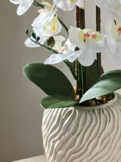 Kunstbloemen*Next Artificial Orchid in Fairford Vase