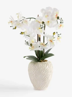Kunstbloemen*Next Artificial Orchid in Fairford Vase