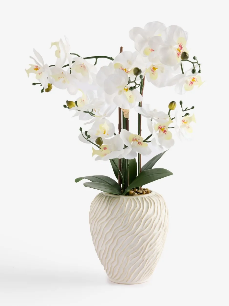 Kunstbloemen*Next Artificial Orchid in Fairford Vase