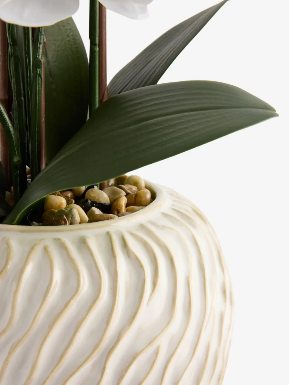 Kunstbloemen*Next Artificial Orchid in Fairford Vase