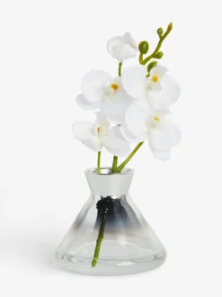 Kunstbloemen*Next Artificial Orchid In Small Glass Vase