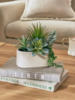 Kunstbloemen|Next Artificial Succulent Garden In Ceramic Pot