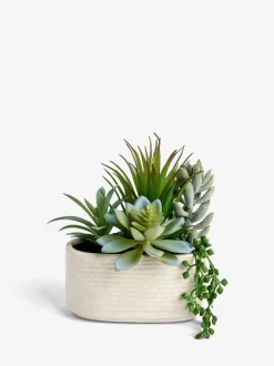 Kunstbloemen|Next Artificial Succulent Garden In Ceramic Pot