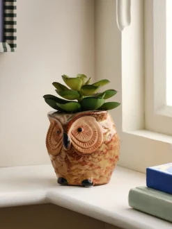 Kunstbloemen*Next Artificial Succulent in Ceramic Owl Pot