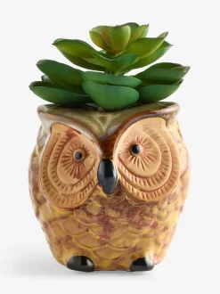 Kunstbloemen*Next Artificial Succulent in Ceramic Owl Pot