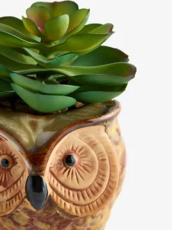 Kunstbloemen*Next Artificial Succulent in Ceramic Owl Pot