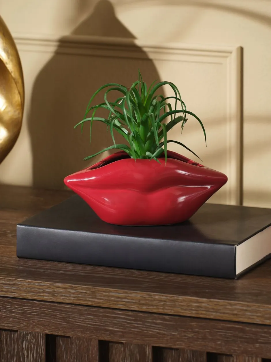 Kunstbloemen*Next Artificial Succulent in Red Lips Vase