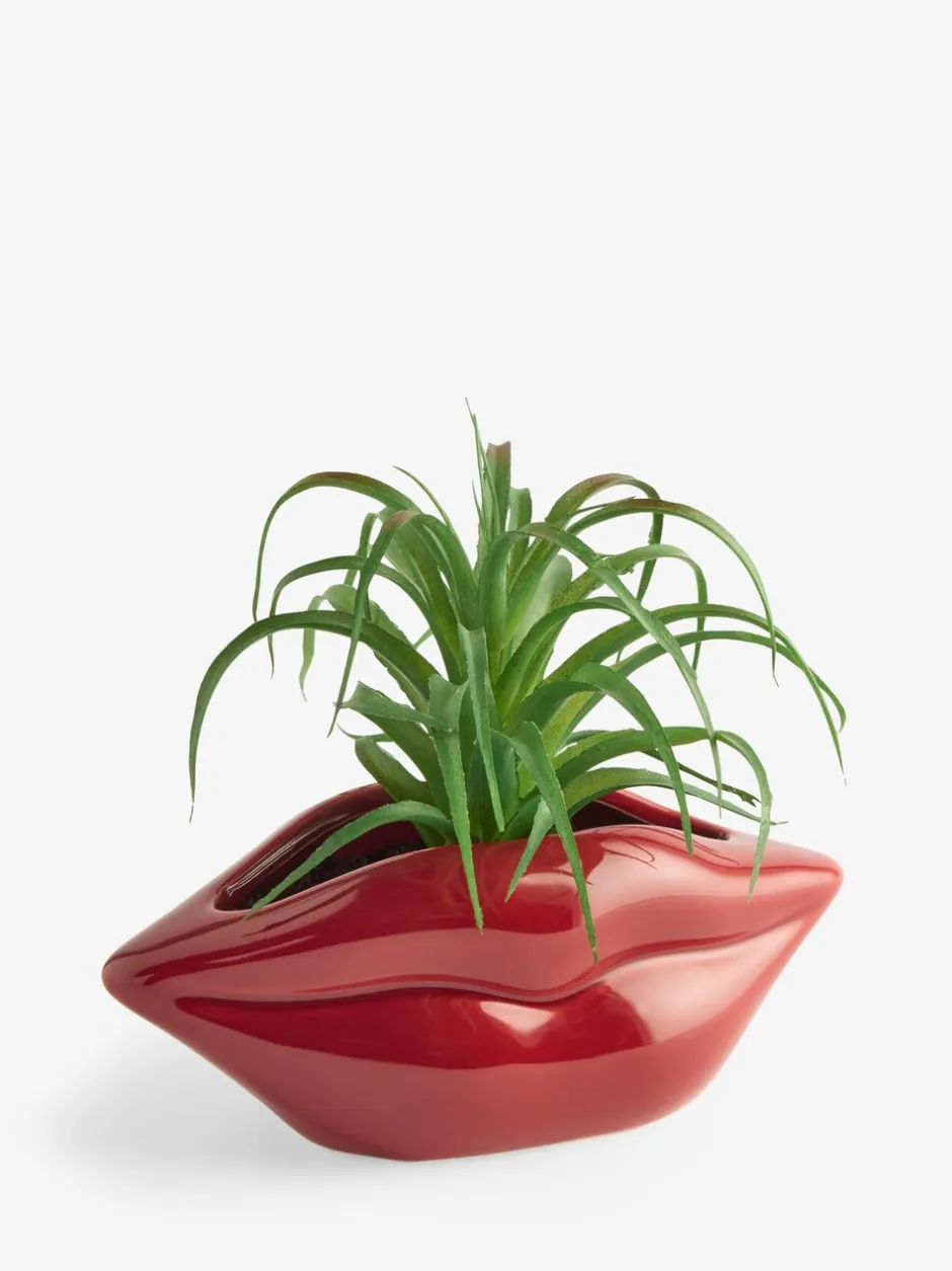 Kunstbloemen*Next Artificial Succulent in Red Lips Vase