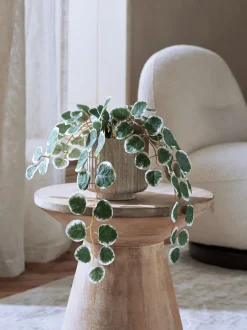 Kunstbloemen*Next Artificial Trailing Eucalyptus In Marble Effect Pot