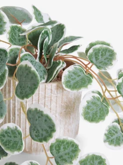 Kunstbloemen*Next Artificial Trailing Eucalyptus In Marble Effect Pot