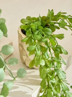Kunstbloemen|Next Artificial Trailing Plants In Mini Gold Hex Pots