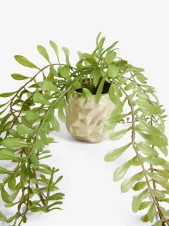 Kunstbloemen|Next Artificial Trailing Plants In Mini Gold Hex Pots