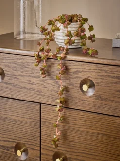 Kunstbloemen*Next Artificial Trailing Succulent in Ceramic Pot