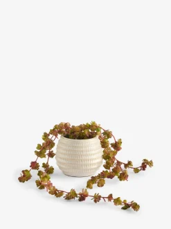 Kunstbloemen*Next Artificial Trailing Succulent in Ceramic Pot