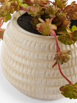 Kunstbloemen*Next Artificial Trailing Succulent in Ceramic Pot