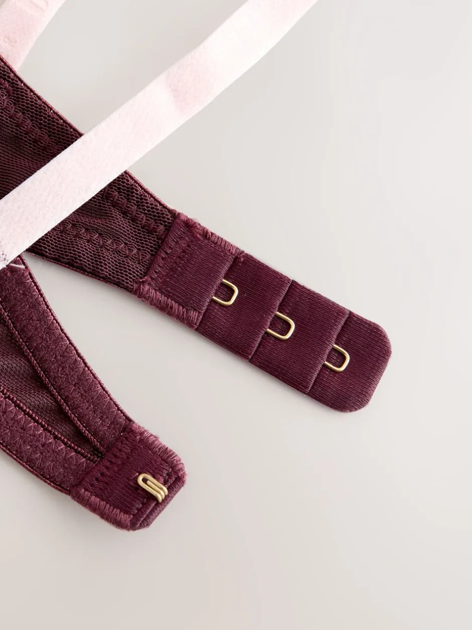 Beha's|B by Ted Baker Aubergine Purple Floral Triple Boost Bra