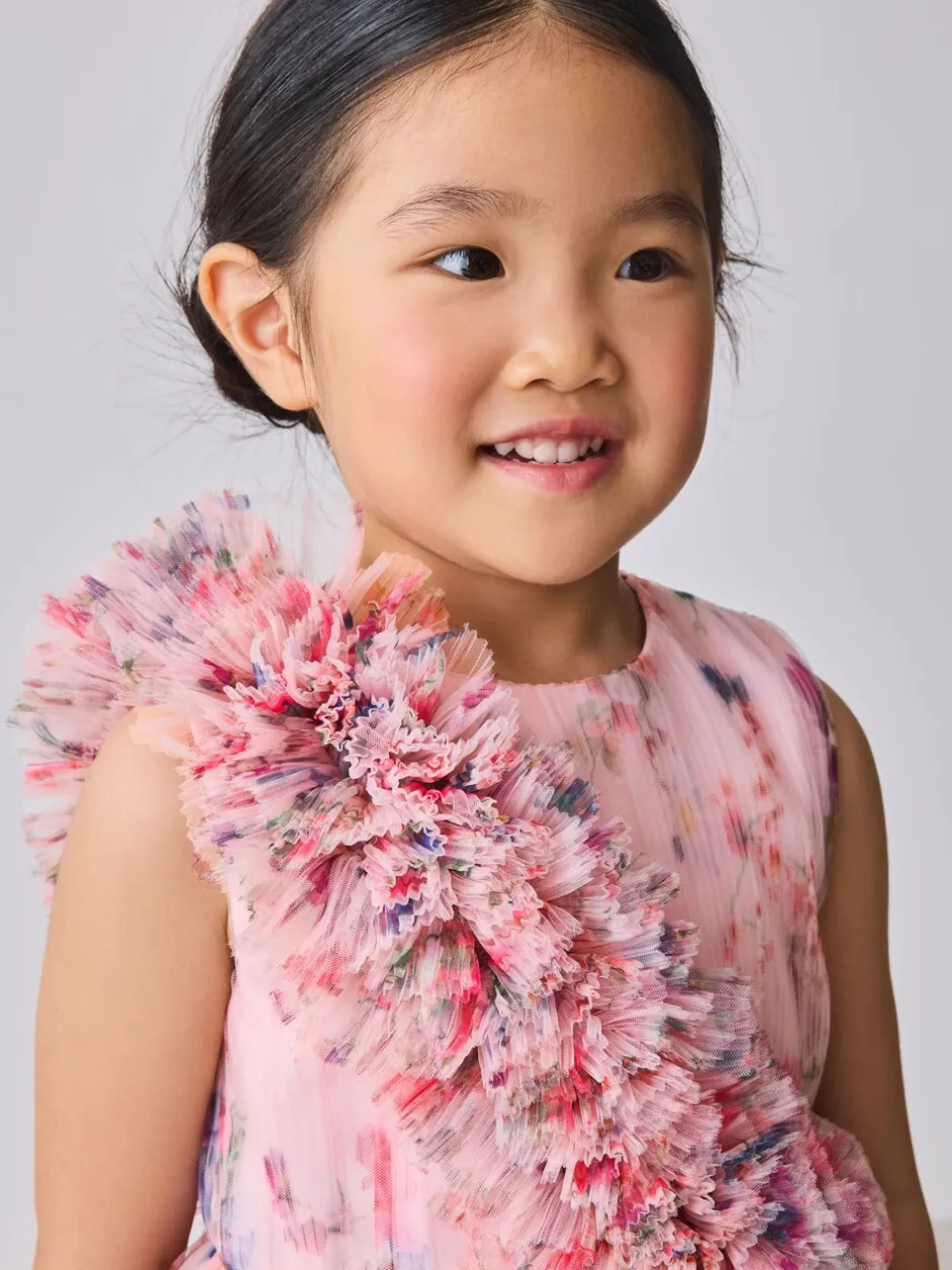 Gelegenheidskleding|Jurken|Baker by Ted Baker Crinkle Mesh 3D Ruffle Shoulder Occasion Dress