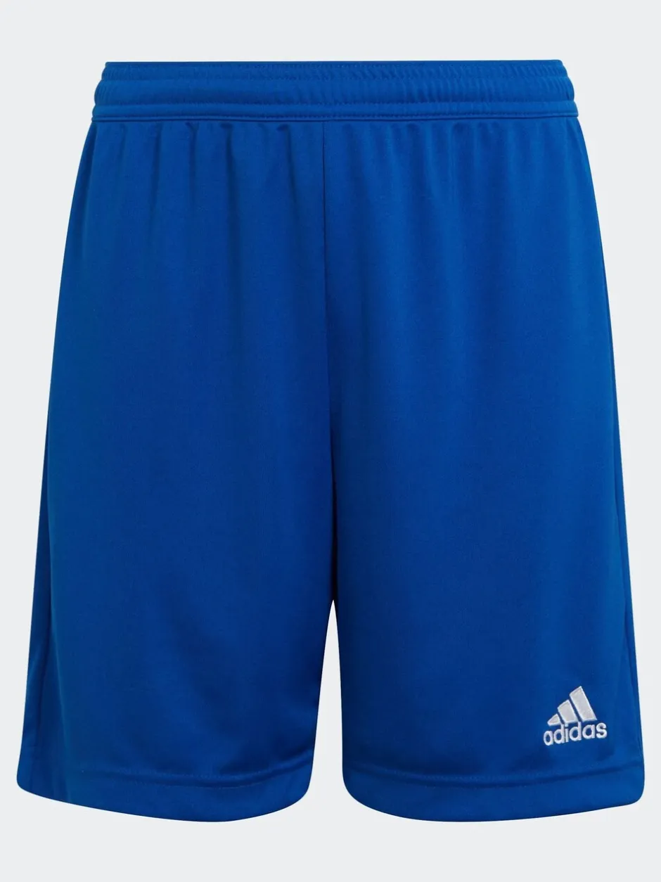 Shorts*adidas - Entrada 22 short Blauw