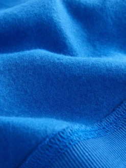Schoolkleding|Sweaters En Hoody´S|Next - Schoolsweater met ronde hals (3-16jr) Blauw