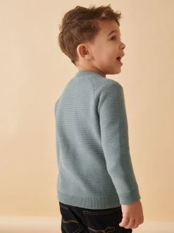 Truien En Breisels|Truien En Breisels*Next Blauw - Vest met ritssluiting (3 mnd-7 jr)
