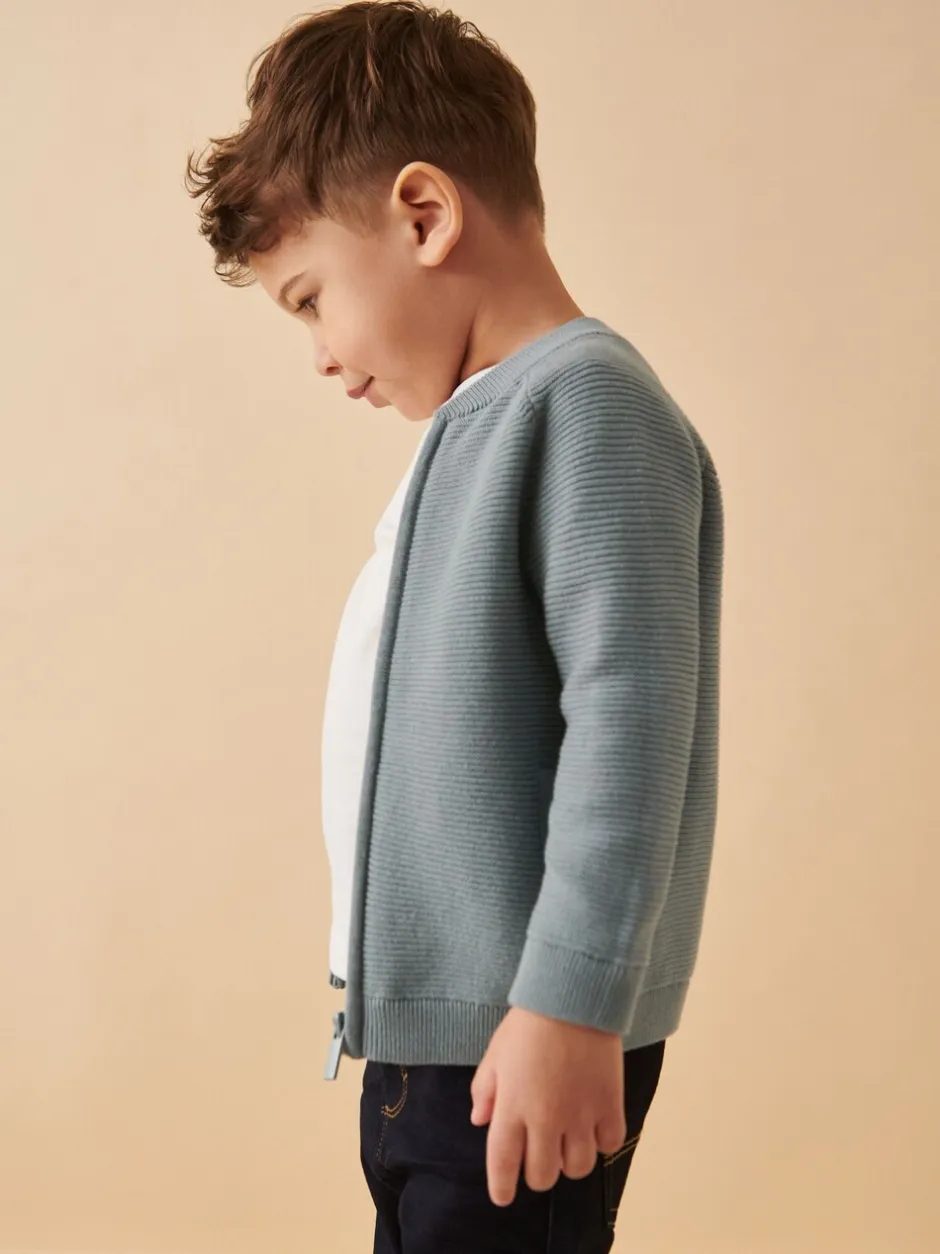 Truien En Breisels|Truien En Breisels*Next Blauw - Vest met ritssluiting (3 mnd-7 jr)