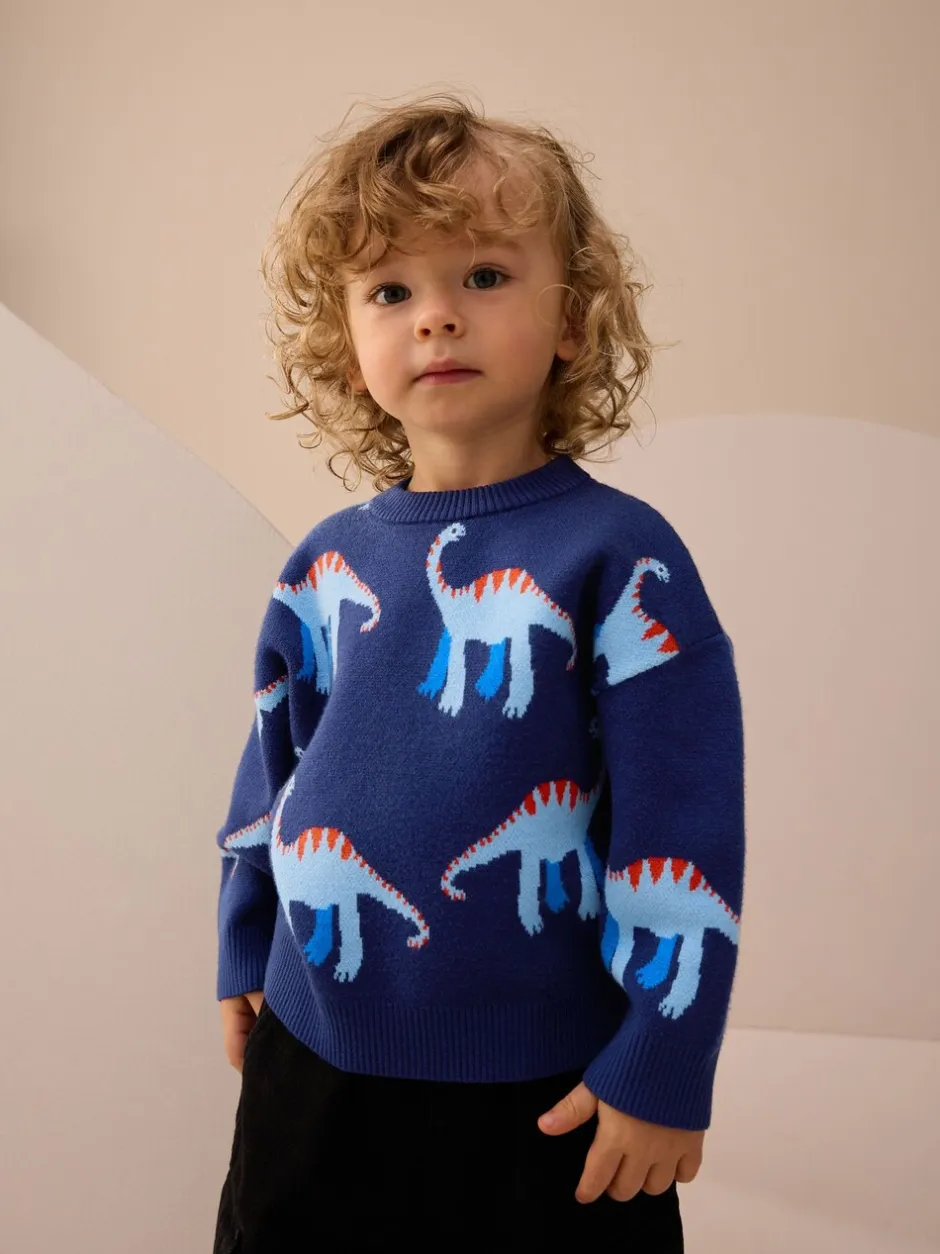 Truien En Breisels|Next Blauw met dinosaurus - Gebreide trui met ronde hals (3 mnd - 7 jr)