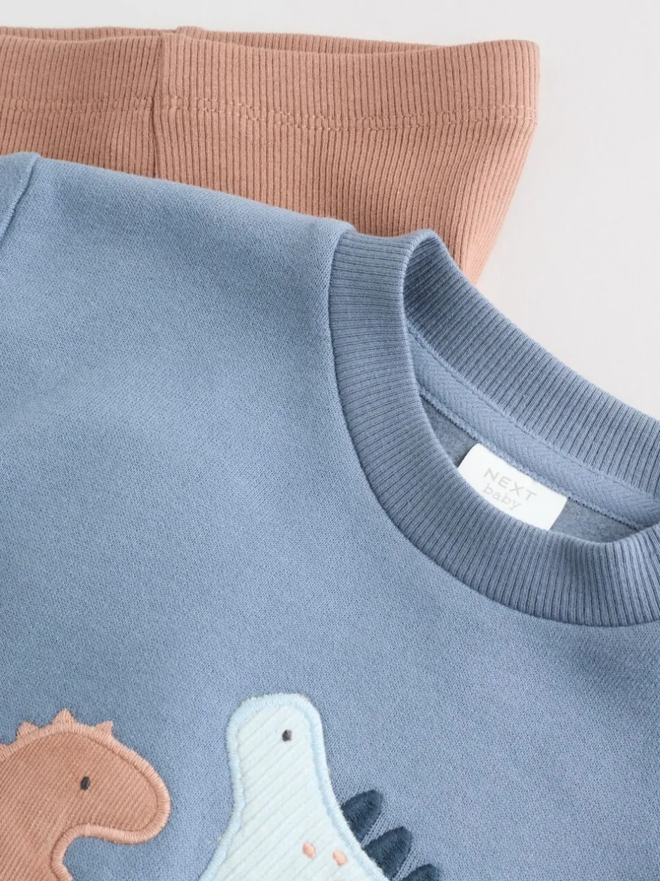 Sweaters En Hoody´S|Sets En Outfits|Next - Set met baby-sweatshirt en legging (0mnd-3jr) Blauw met dinosaurus