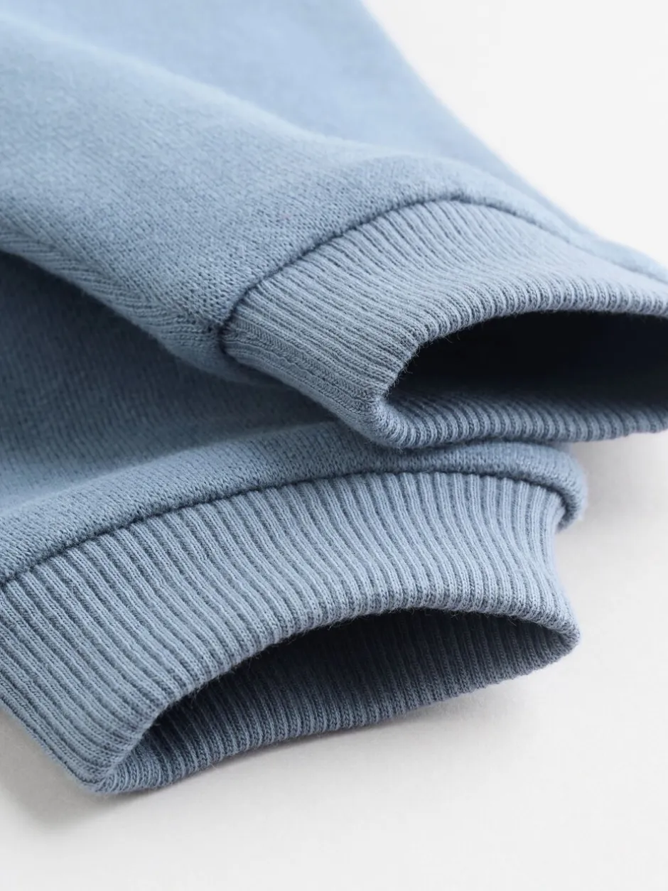 Sweaters En Hoody´S|Sets En Outfits|Next - Set met baby-sweatshirt en legging (0mnd-3jr) Blauw met dinosaurus