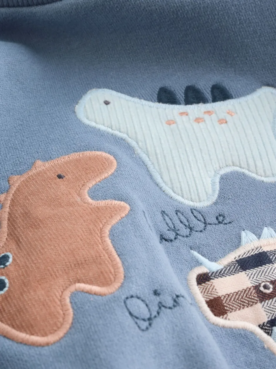 Sweaters En Hoody´S|Sets En Outfits|Next - Set met baby-sweatshirt en legging (0mnd-3jr) Blauw met dinosaurus