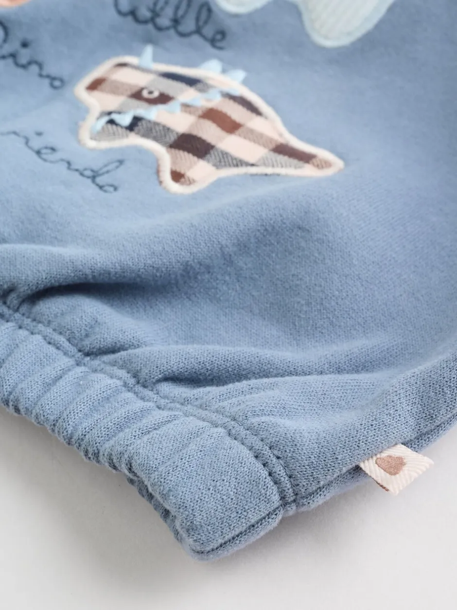 Sweaters En Hoody´S|Sets En Outfits|Next - Set met baby-sweatshirt en legging (0mnd-3jr) Blauw met dinosaurus