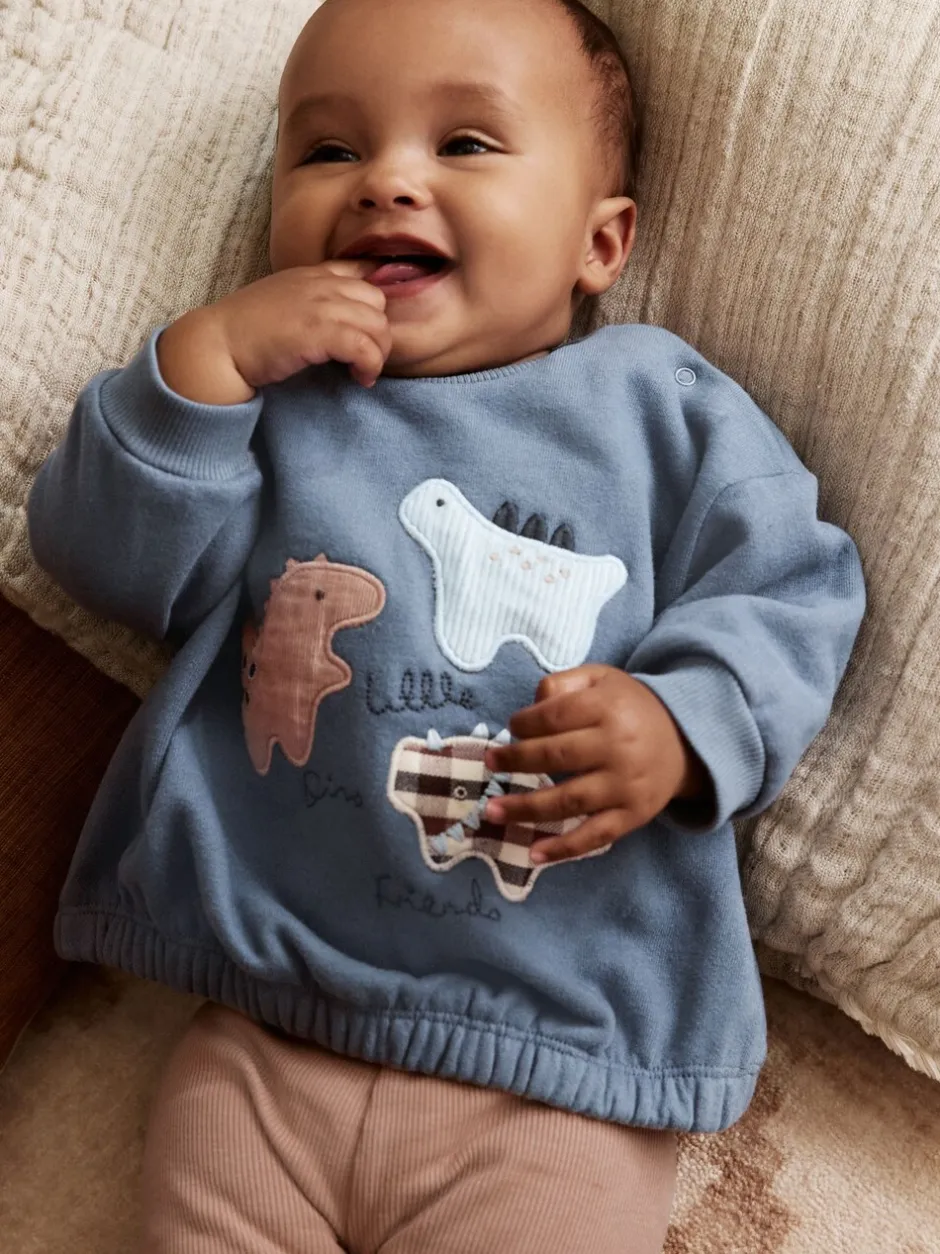 Sweaters En Hoody´S|Sets En Outfits|Next - Set met baby-sweatshirt en legging (0mnd-3jr) Blauw met dinosaurus