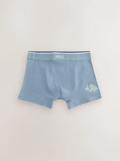 Ondergoed*Next - Verpakking van 5 trunks (1,5-12jr) Blauw/bruin met dinoprint