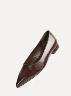 Lage Schoenen*Linzi - Wide Fit Compete Pointed Toe Ballet Flat Shoes Bruin