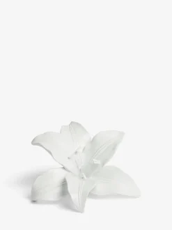 Decoraties|Next Decoratieve lelie