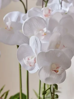 Kunstbloemen*Next Echt aanvoelende kunstorchidee in reactieve keramische pot